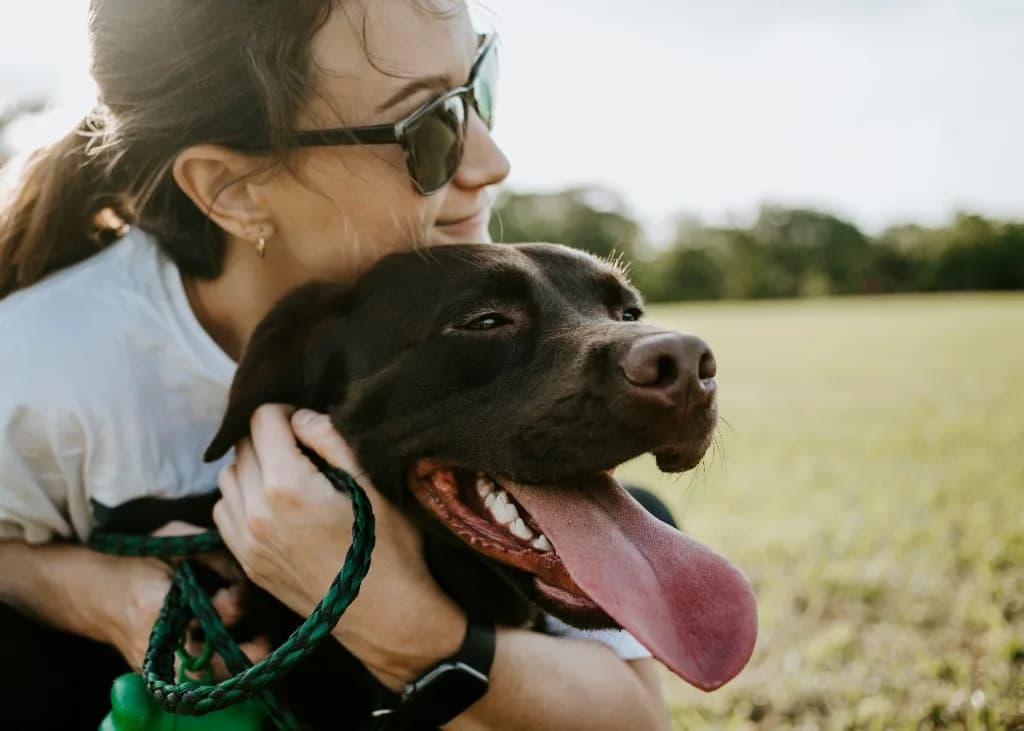 Owner hugging a happy dog outdoors